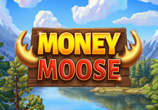 Money Moose Slots
